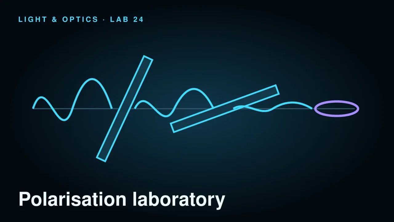 Preview of the Polarisation Laboratory interactive physics simulation